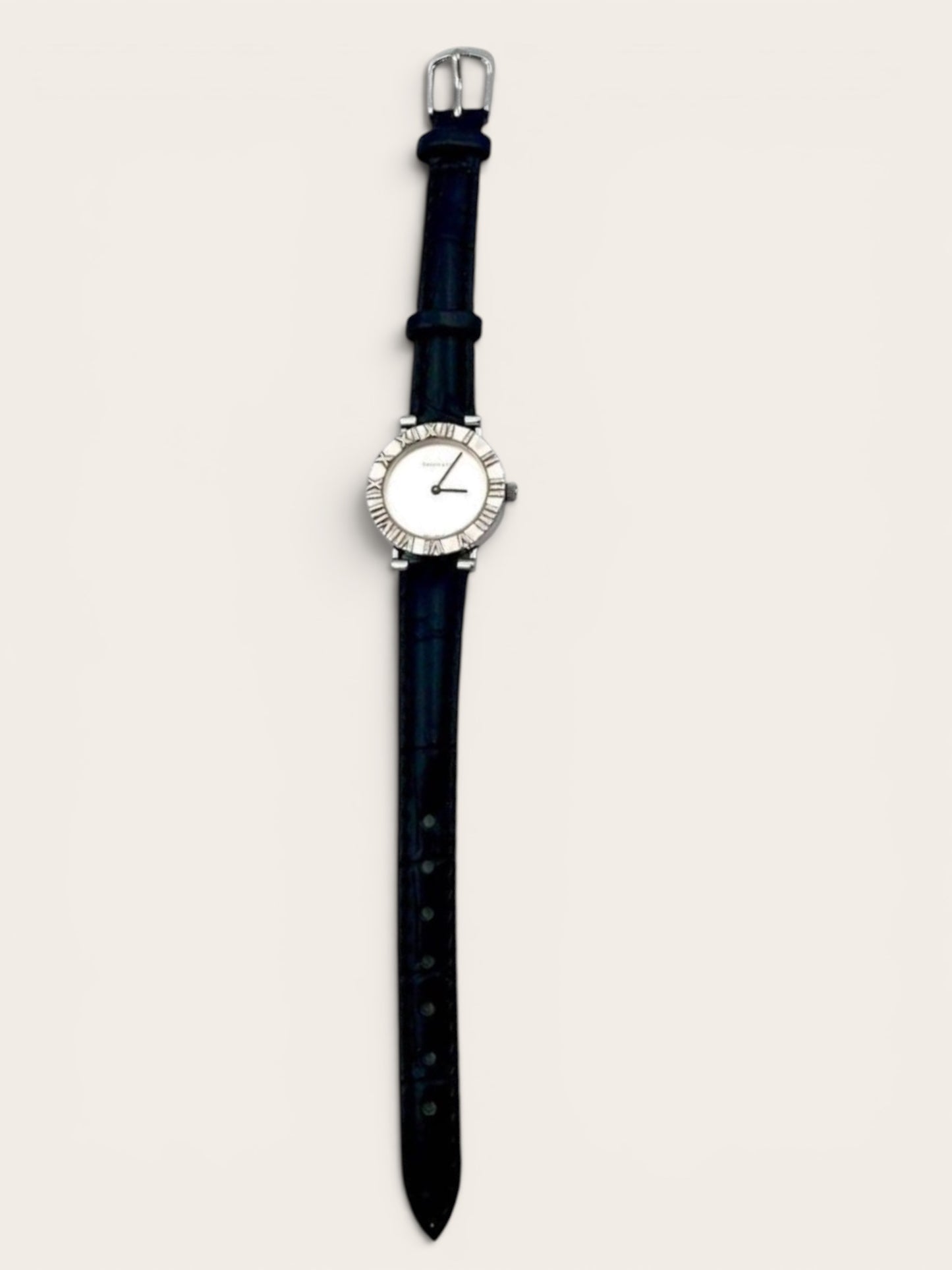 Tiffany & Co circle round watch