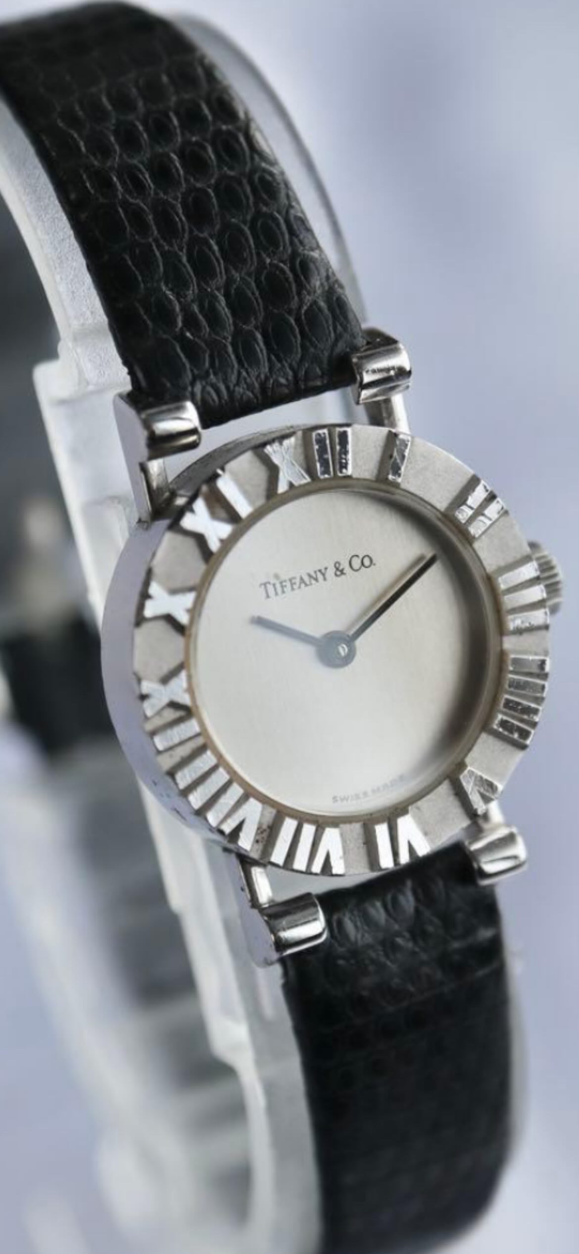 Tiffany & Co circle round watch
