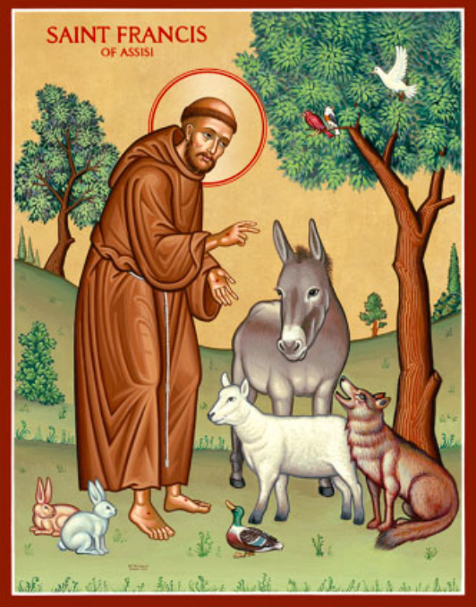 Médaille silver 925 pendant necklace: St Francis