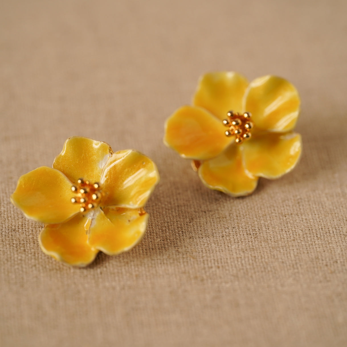 The Petits Fours Collection 8 5