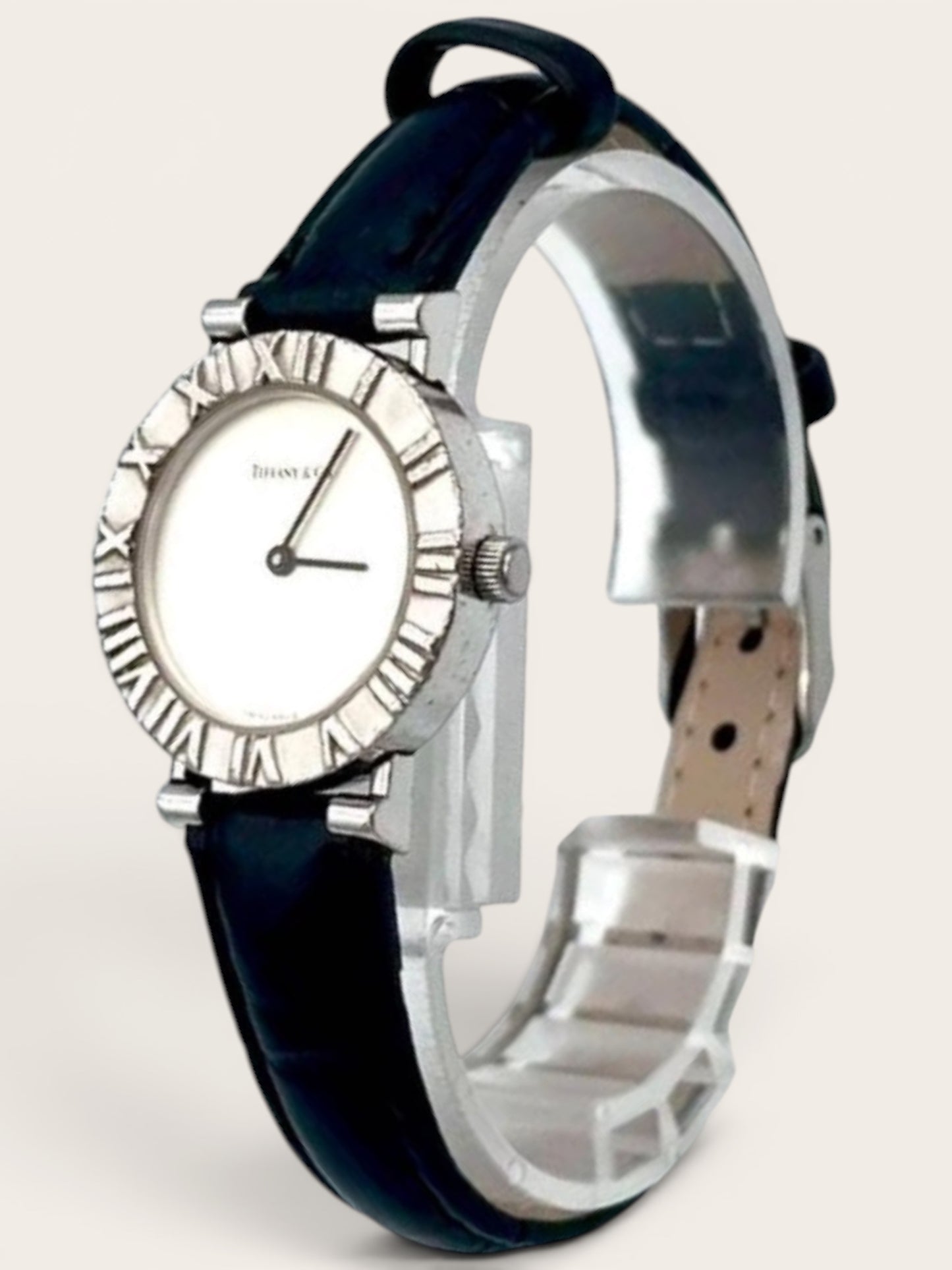 Tiffany & Co circle round watch