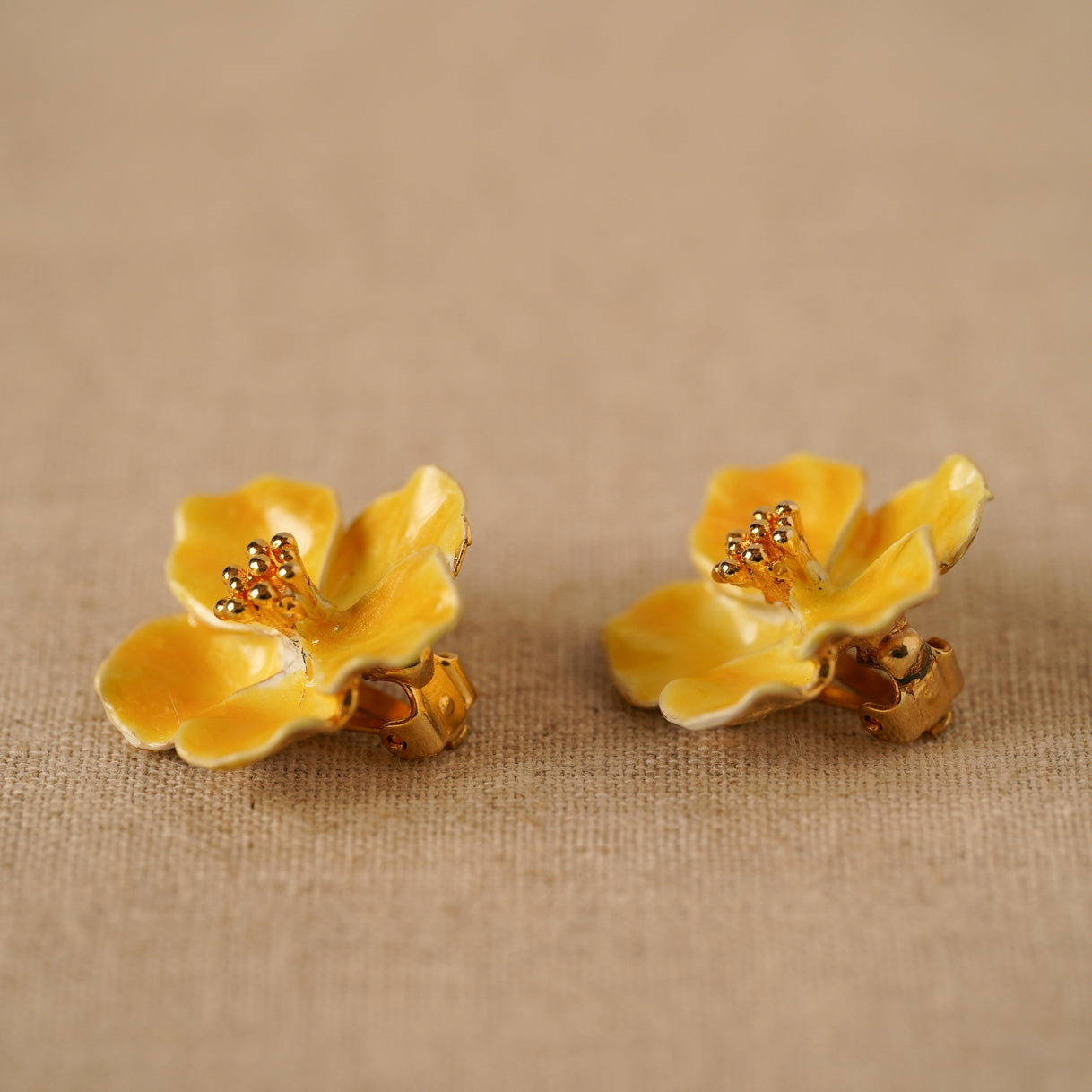 The Petits Fours Collection 8 5