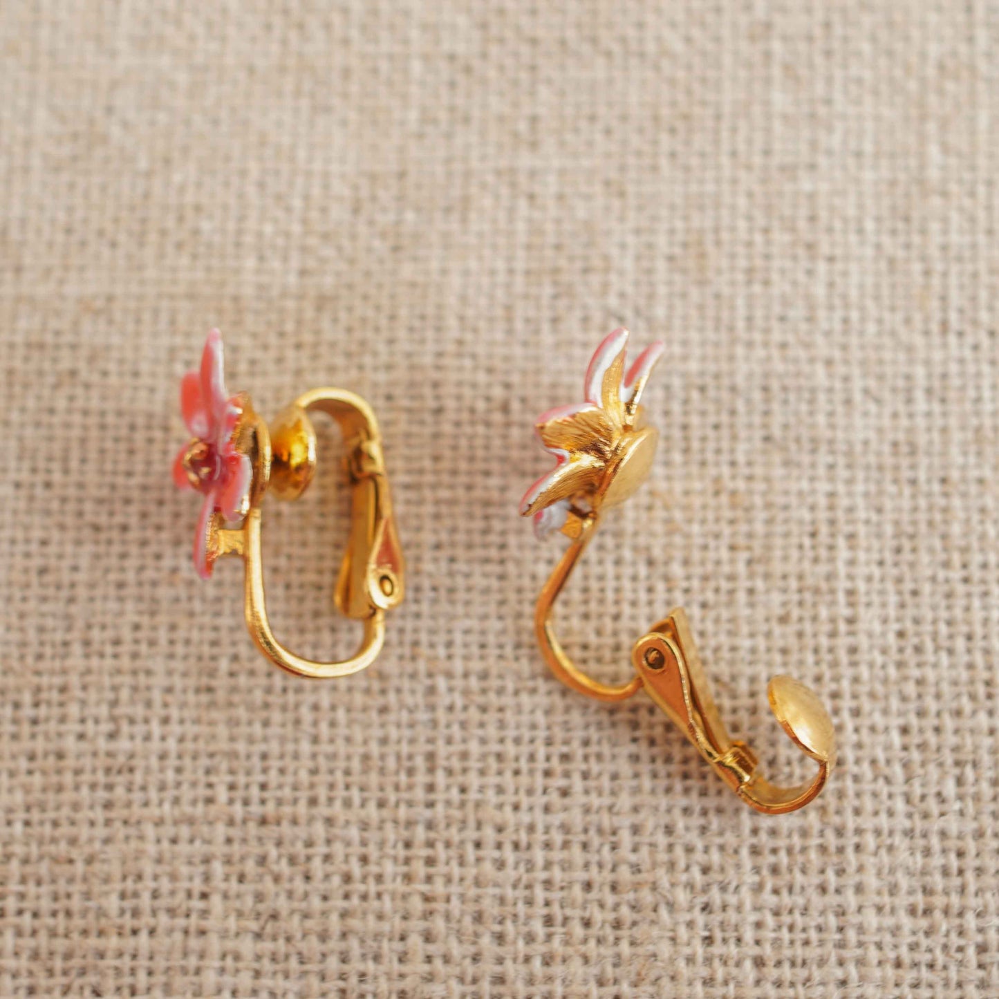 The Petits Fours Collection 5 7