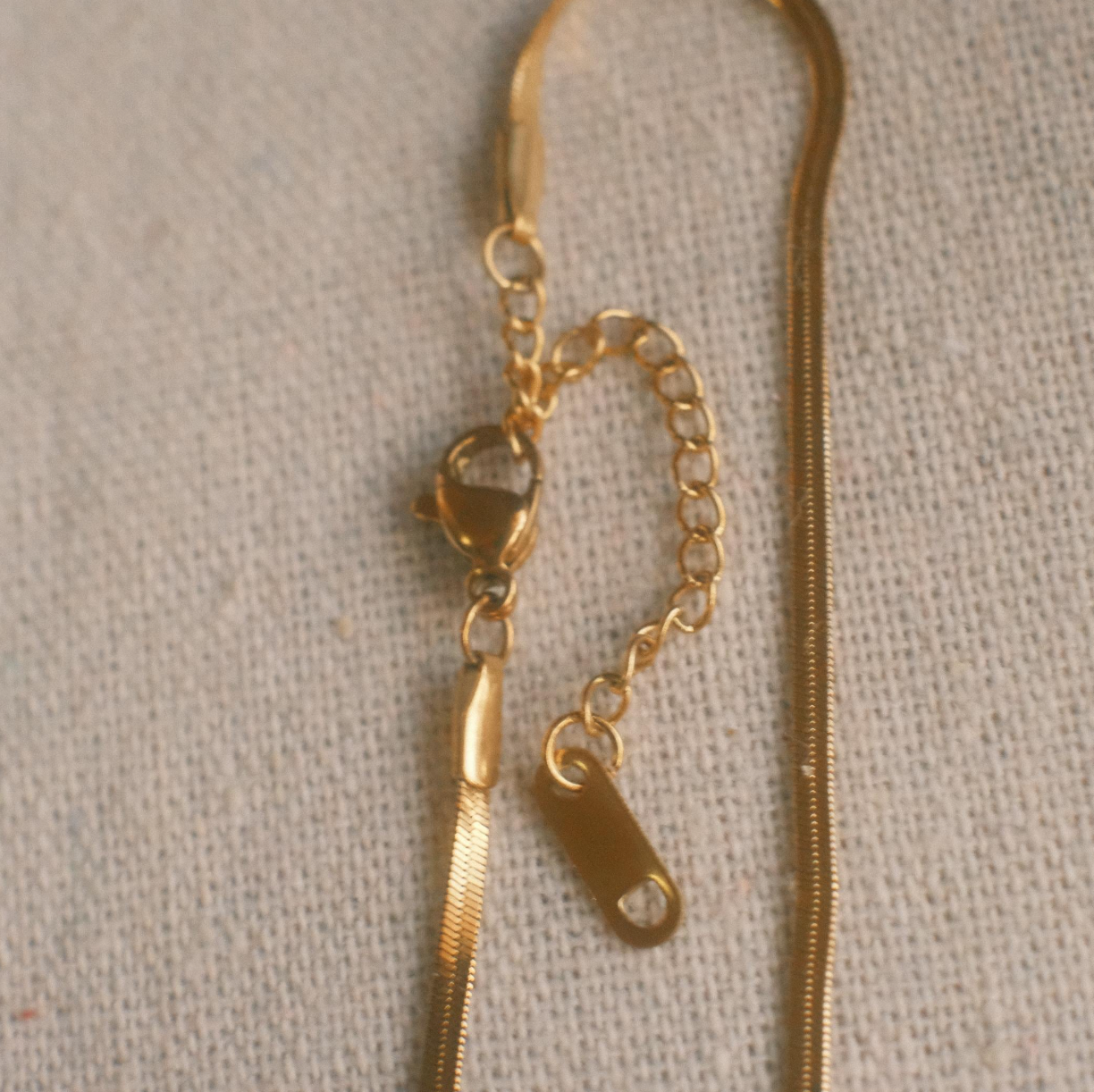 Bow Motif Choker Necklace