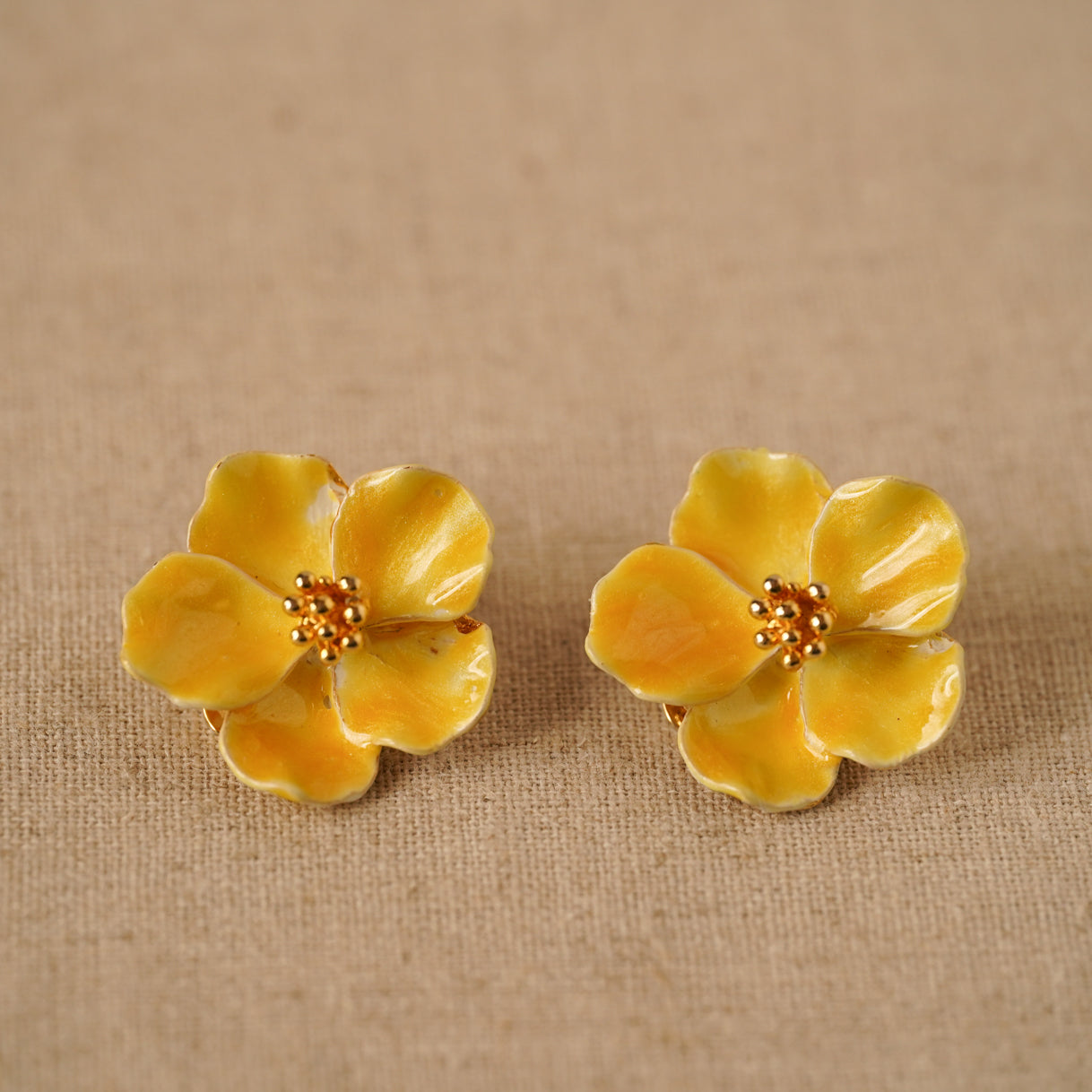 The Petits Fours Collection 8 5